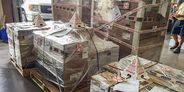 Large Wrapped Delivery